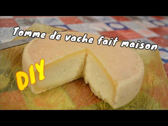 Grand moule à fromage à pâte dure Gouda pour presse, lait de vache, de  chèvre