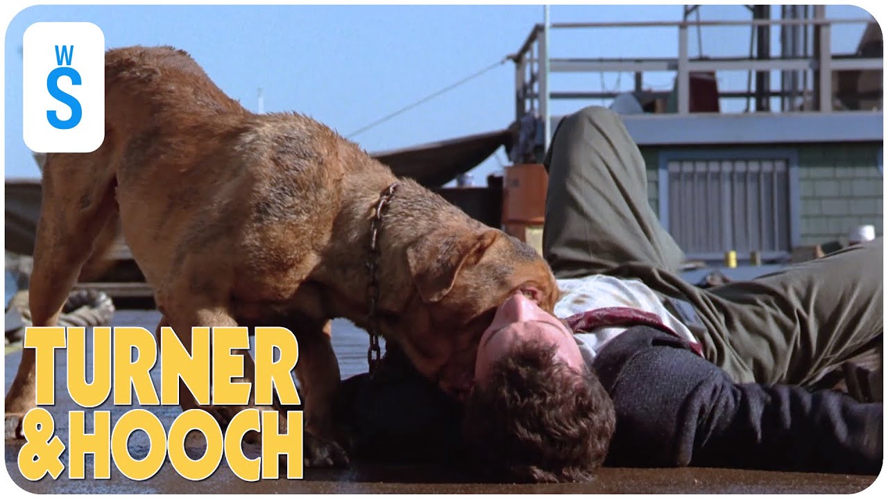Turner & Hooch (1989) Scene Dogue de Bordeaux, Hooch, pins Turner