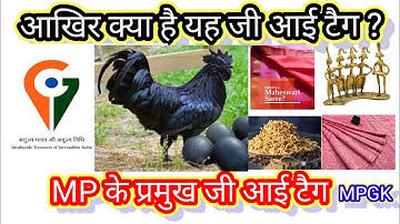 GI TAG | GI tag kya Hai? | Mp gi tags |जीआई टैग | Madhya Pradesh GI tags |complete information mpgk