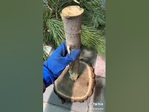 Елка своими руками, елка с веток, Экибана с веток, крымка - YouTube