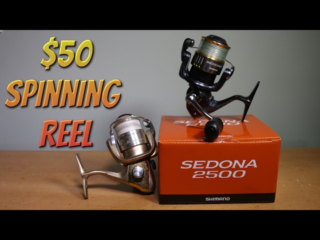 REAL Review: Best $50 Spinning Reel! (Tackle Tuesday #16) 