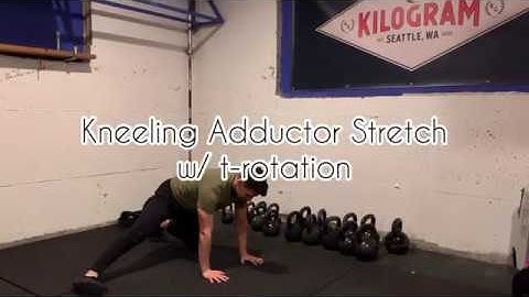Kneeling Adductor Stretch w/ T-spine Rotation