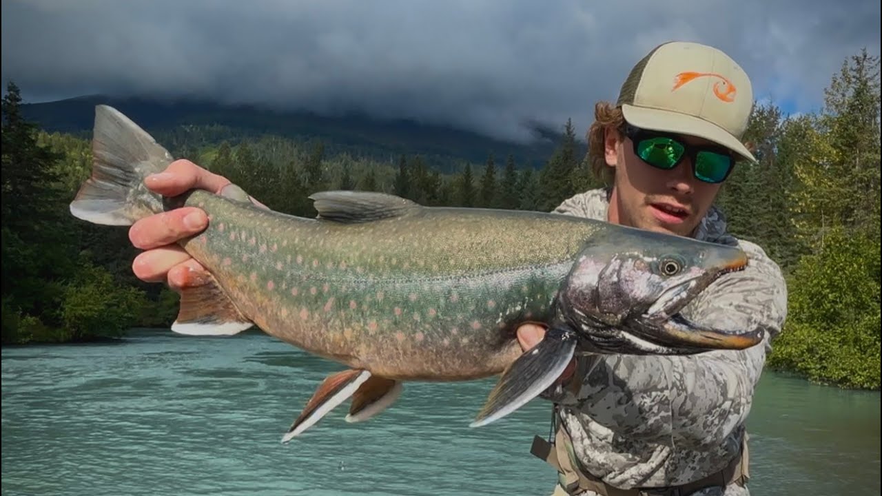 Fall Fly Fishing for Big Dolly Varden and Rainbow Trout - Alaska