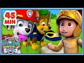 パウ パトロール ドキドキ パウ パトロール スーパーヒーローレスキュー45分 パウ パトロール公式 パウ パトロール ドキドキ パウ パトロール スーパーヒーローレスキュー45分 パウ パトロール公式