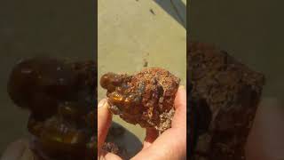 Aguascalientes Fire Agate Rough DEC2019 Net Worth