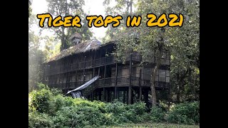 TIGER TOPS HOTEL CHITWAN IN 2021