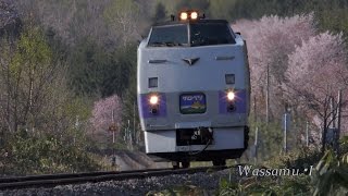 （UHD）塩狩の春