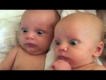 Funniest kid  baby vines that will make you die laughing  funny vine compilation