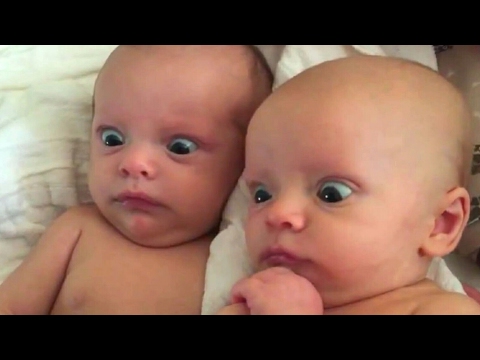 Funniest KID & BABY VINES that will make you DIE LAUGHING - Funny VINE compilation