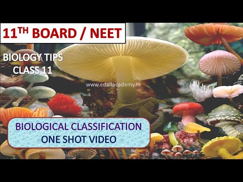 Biological Classification Class 11 | NEET 2021-22 | Classification System in One Shot |Edall Academy