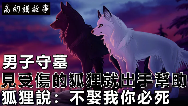 民間故事：男子守墓，見受傷的狐狸就出手幫助， 狐狸說：不娶我你必死｜高朗講故事 - 天天要聞