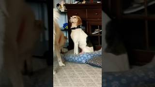 Friends Till The End.