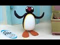 Pingu solves problems   pingu  official channel  cartoons for kids