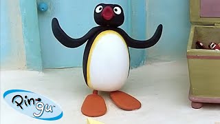 Pingu Solves Problems  | Pingu  Official Channel | Cartoons For Kids