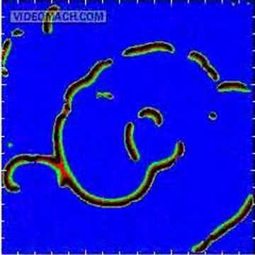 spiral wave in a lattice with voids (site percolation)