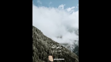 سورة الحجرات القارئ #ياسر_الدوسري ‎@islam_sobhi@Sonic_islami#فلسطين#السعودية#المغرب#الجزائر#مصر#تونس