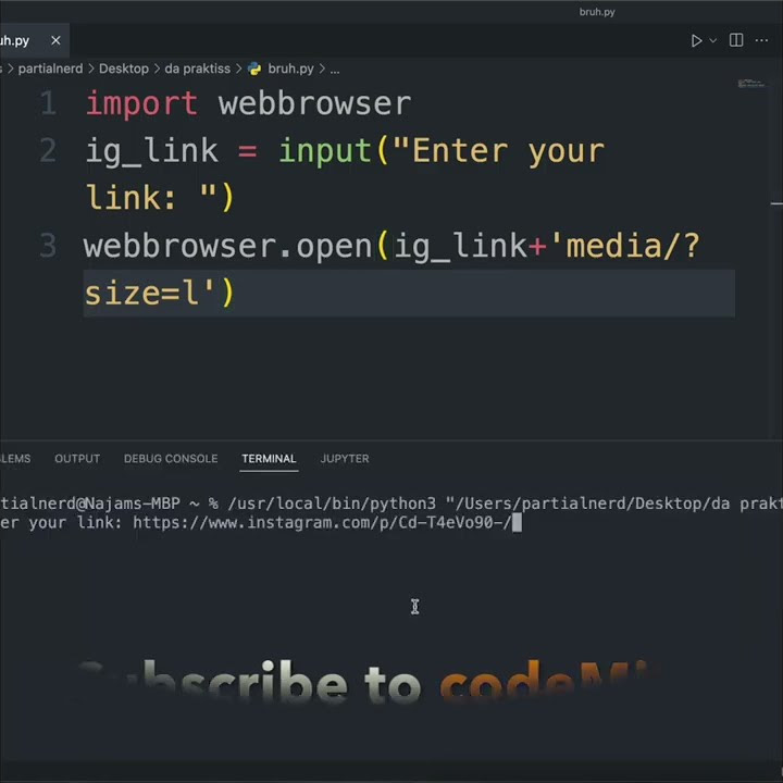 Instagram Photo Downloader Using Python - YouTube