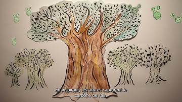 Carbon Markets and Our Rights | What is Carbon? (Video 1/6)