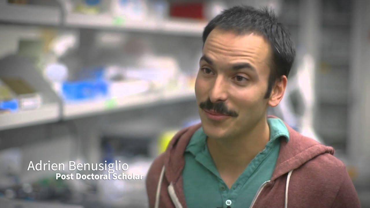 La danza molecular de unas gotitas de color camera iphone 8 plus apk