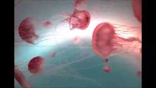 Dene antony - peace \u0026 harmony (kezla's rough diamond remix)