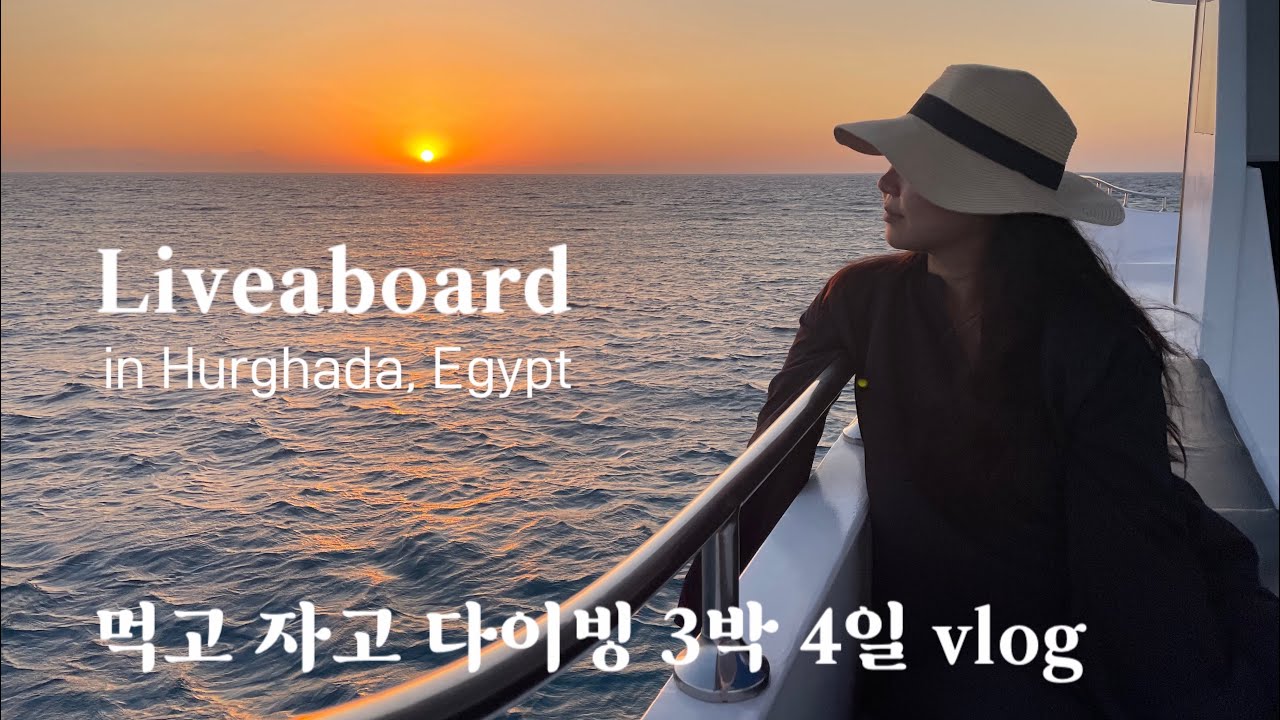 🇪🇬#18. 다이빙에 미친 자들의 이집트 홍해 3박 4일 리브어보드 브이로그 🛥🐬🤿ㅣ📍Hurghada, Egypt