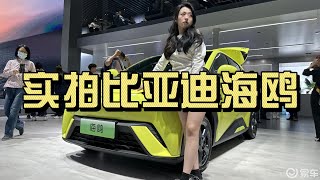 实拍比亚迪海鸥丨高颜值纯电小车，不到8万起的价格是真的香