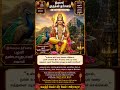 #arrahman #murugan #lordmurugan #trending #latest #music #kandasashti #song #songs #tamil #videos
