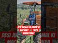 Desi Jugaad ya Kamal ki Machine? 🚜 Okra Harvesting! #ViralShorts #AgricultureLife #TechInFarming