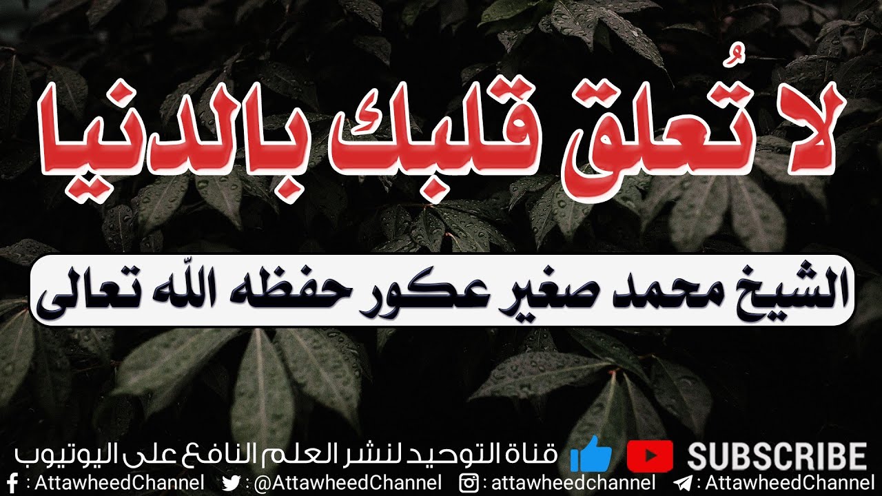 لا تعلق قلبك بالدنيا الشيخ محمد صغير عكور -حفظه الله-