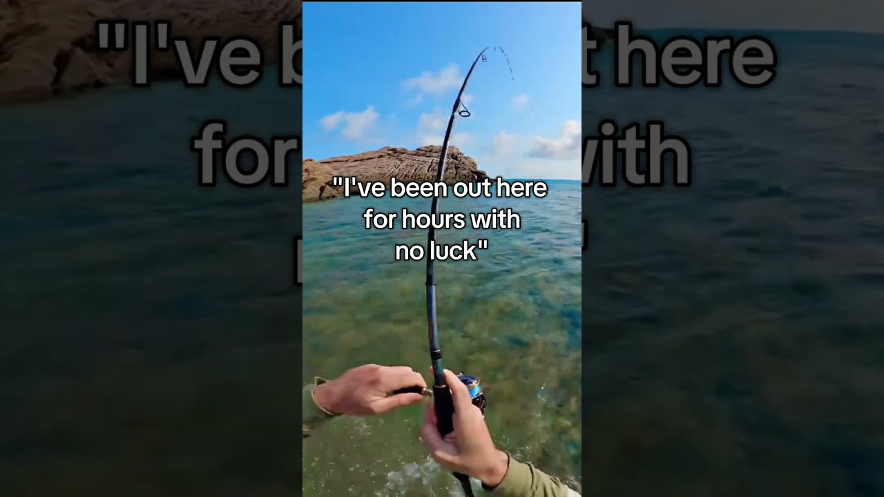 Maybe you should give Fish AI a try 👀👀 