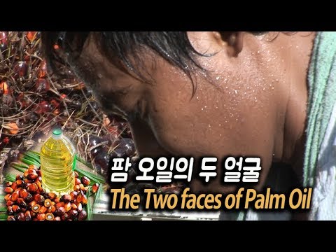 팜 오일의 두 얼굴 The Two faces of Palm Oil