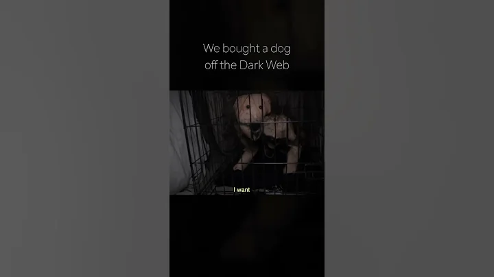 We Bought a Dog off the Dark Web..  #scary