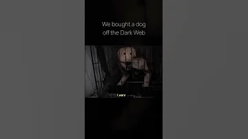 We Bought A Dog Off The Dark Web Scary 