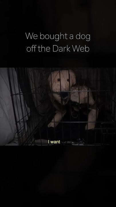 We Bought a Dog off the Dark Web..  #scary