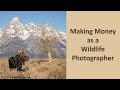 Making Money as a Wildlife Photographer