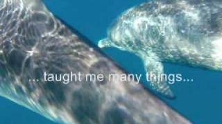 The Cove PSA - My Dolphin Friend...  teaches Trust & Joy