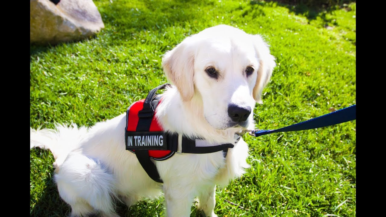 Introducing Bradley – SANTA BARBARA ZOO