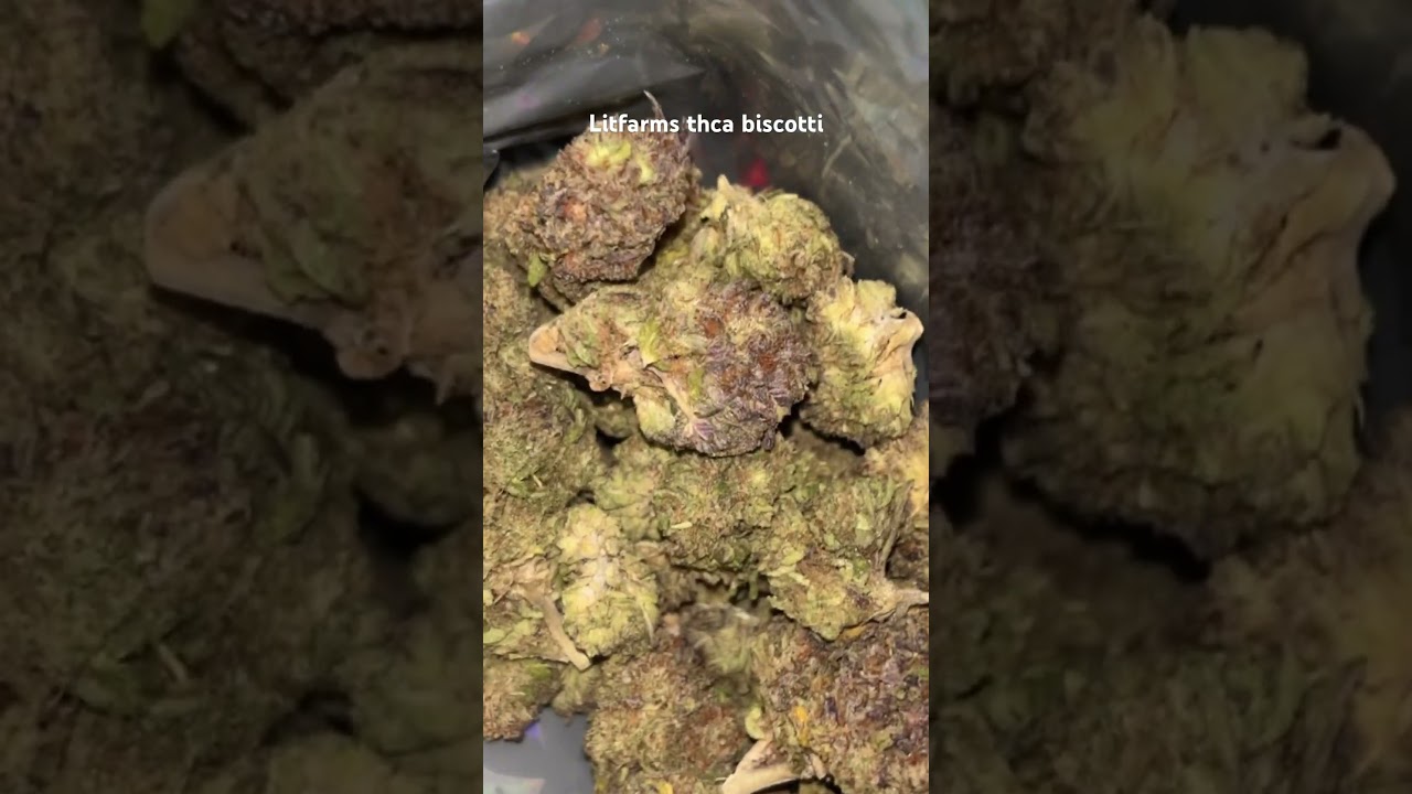 Litfarms.com thca biscotti 