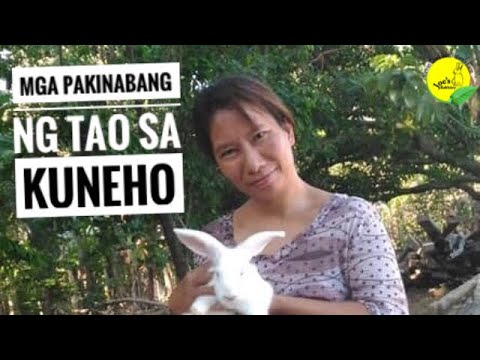 Video: Mga Pakinabang Ng Enclosure Ng Kuneho