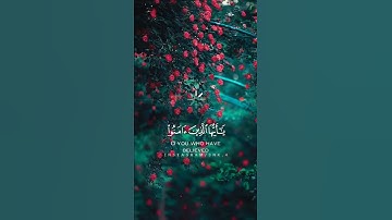 إن الله وملائكته يصلون على النبي القارئ شريف مصطفى