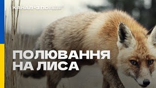 Полювання на лиса ( 13.02.2022 р.)