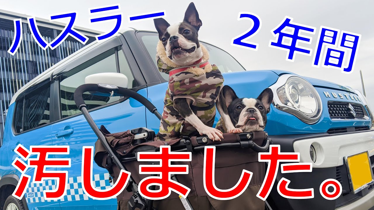 犬と一緒に過ごしたハスラーはこんなに汚れますwありのままをお見せします Youtube 犬と一緒に過ごしたハスラーはこんなに汚れますwありのままをお見せします Youtube