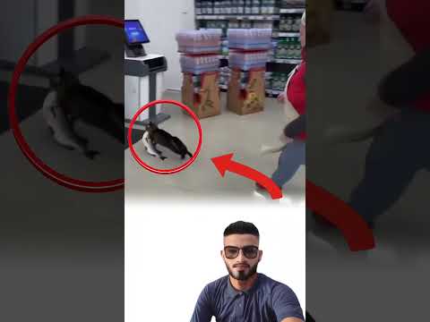 يا ليت صاحب المحل رأى بعين الرحمة لا بعين الغضب لايك متابعه ترند 
