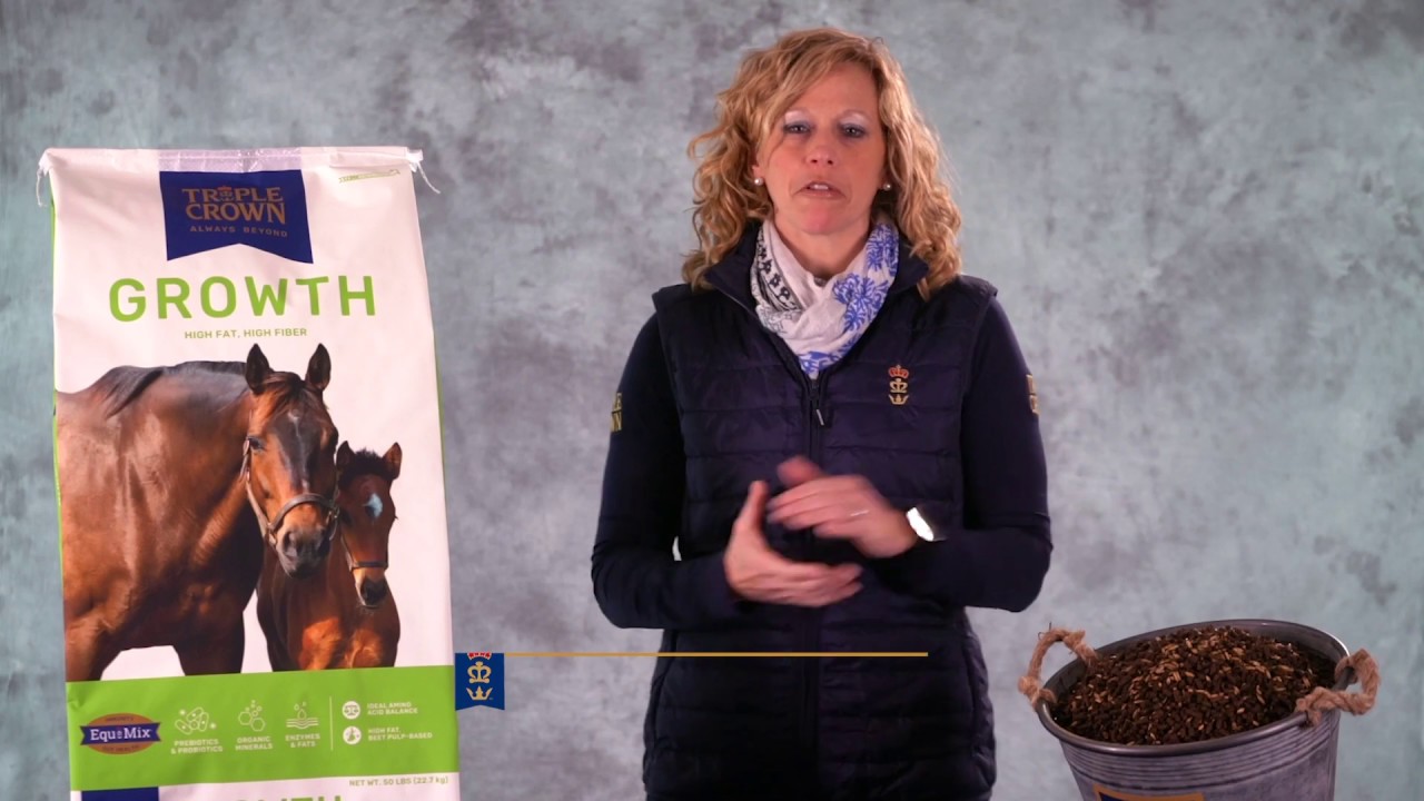 Horse Feed Experts Triple Crown Growth YouTube