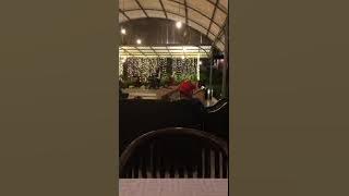 Menyanyi lagu Tanpa batas waktu versi anak kecil 🤗