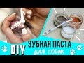 DIY | ДОМАШНИЕ РЕЦЕПТЫ ЗУБНОЙ ПАСТЫ ДЛЯ СОБАК