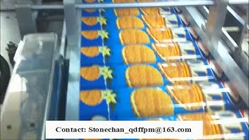 Envelope type form biscuit packing machine