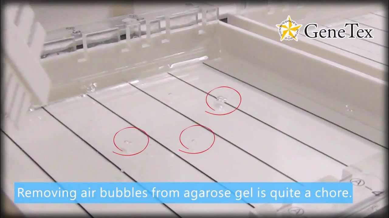 Good Idea Instantly remove air bubbles from agarose gel YouTube