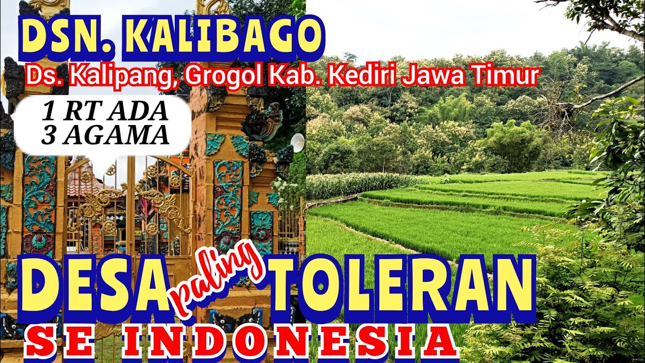DESA PALING TOLERAN DI KEDIRI | DSN. KALIBAGO DENGAN HUTAN & SAWAH YG  HIJAU