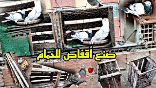 بمناسبة2023طريقة ✅صنع اقفاص للحمام 🕊️ بصناديق فقط/ولله الحمد 🤲#shorts #المغرب #تربية_الحمام#نشاط #ا